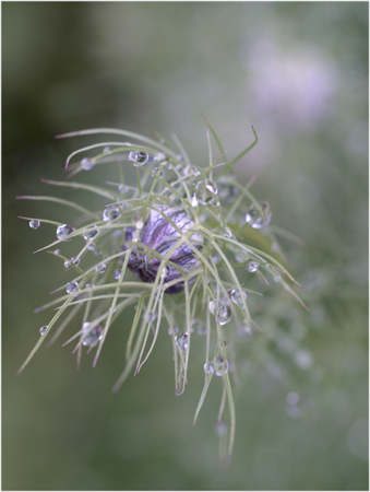 つかれている日は雨がいい_c0145183_10191659.jpg