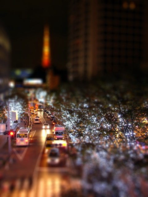 b0011185_1928717.jpg