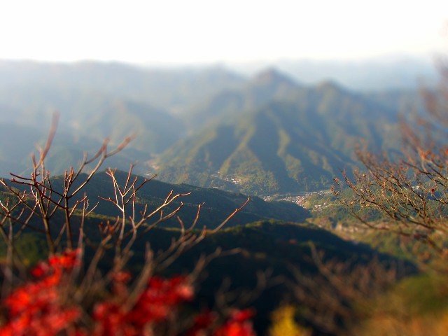 b0011185_1929391.jpg