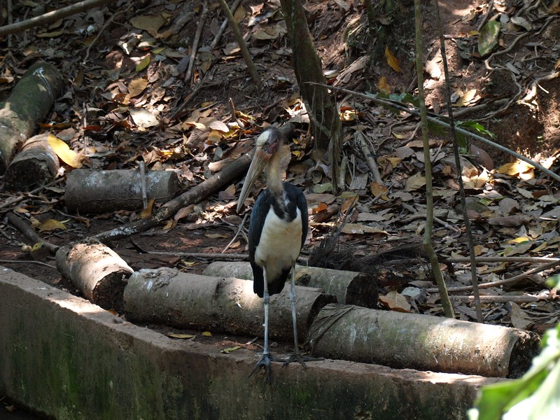 b0108186_015288.jpg