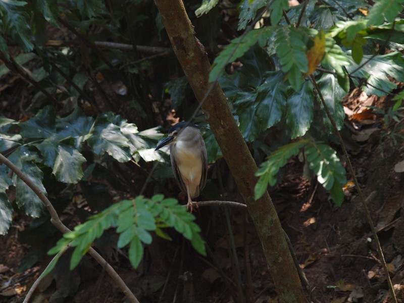 b0108186_0154629.jpg