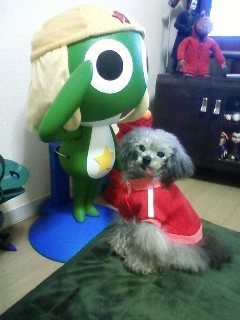 最強超獣 ジャンボキング=ジェス_f0236990_1014292.jpg