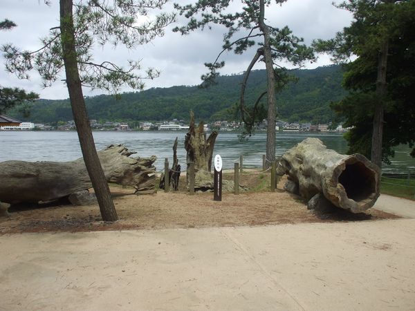 c0068891_23495320.jpg