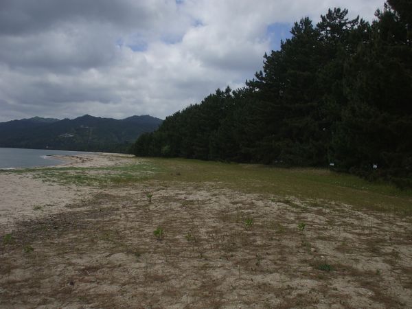 c0068891_23521657.jpg