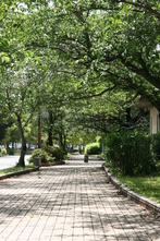 b0140995_221422.jpg