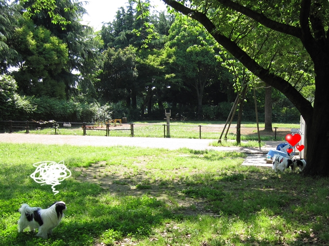 久しぶりの公園_a0155999_122568.jpg