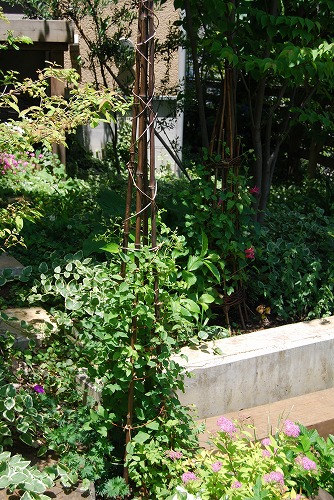 c0124100_20433993.jpg