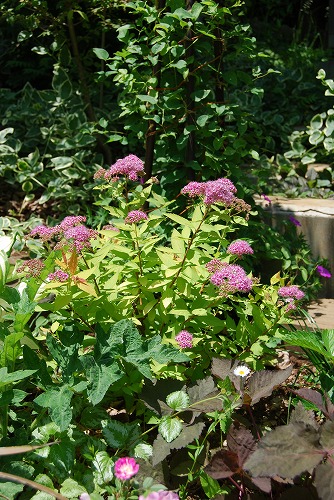 c0124100_216366.jpg