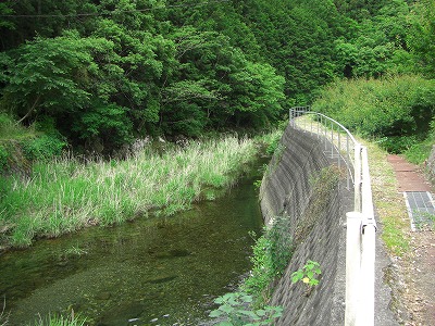 c0125501_16155514.jpg