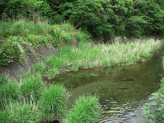 c0125501_16405888.jpg