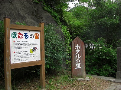 c0125501_1685557.jpg
