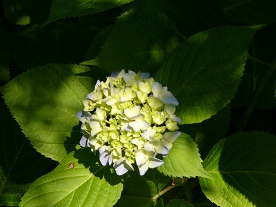 a0123003_1953589.jpg