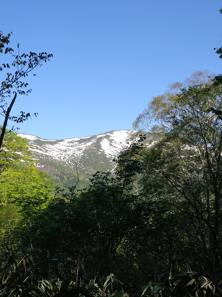 尾瀬 水芭蕉を訪ねて１（戸倉～鳩待峠～山ノ鼻）_f0180607_2272529.jpg