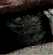 e0103408_17311245.gif
