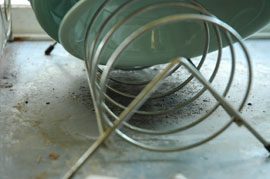 f0000211_20242961.jpg