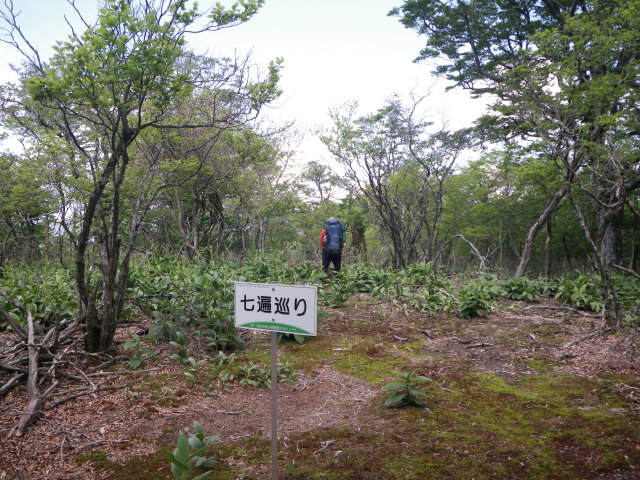 d0006512_23173615.jpg