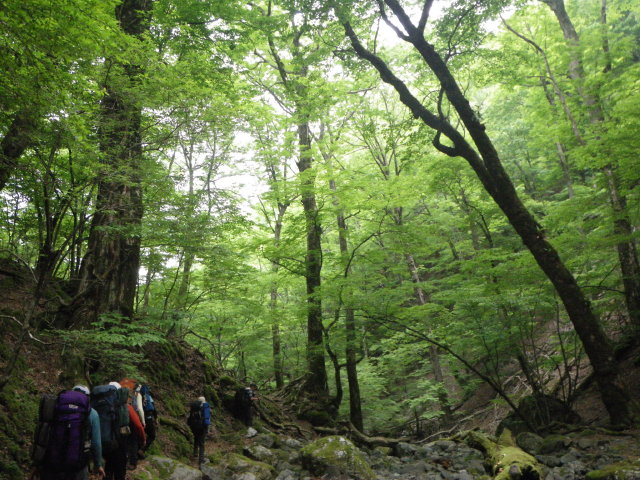 d0006512_23481137.jpg