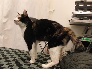 c0201113_23164563.jpg