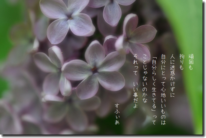 b0152416_8573293.jpg