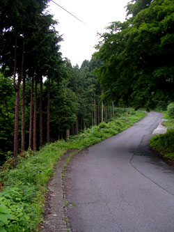 f0036716_23263746.jpg