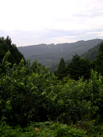 f0036716_23264877.jpg