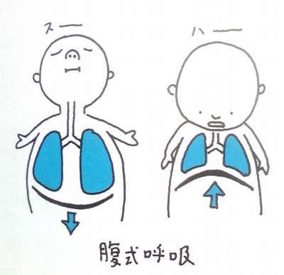 おなか呼吸のふしぎ 7 3 土 おなすインフォメーション