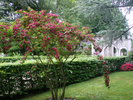 c0124619_7475975.jpg