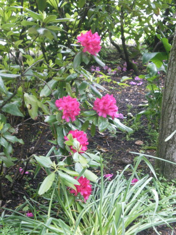 c0124619_7553829.jpg
