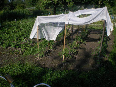 c0124619_8454486.jpg