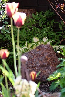 f0170524_10254175.jpg