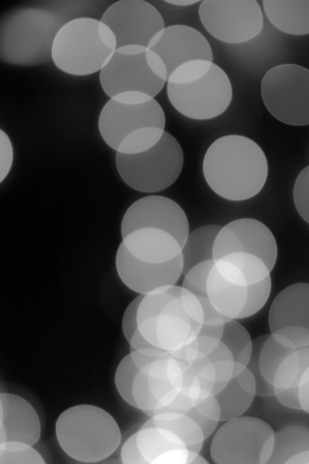 a0145825_23451210.jpg