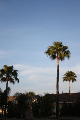 e0185225_5435520.jpg