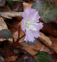 f0207325_231521.jpg