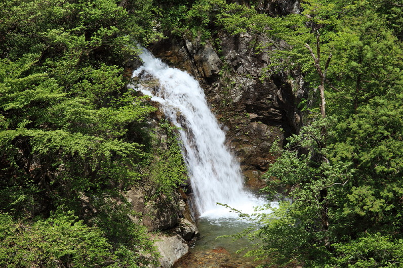 白山スーパー林道オープニングウォーク最終回_b0164726_22524486.jpg