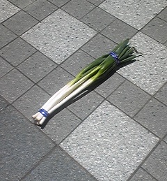 c0109726_12162596.jpg