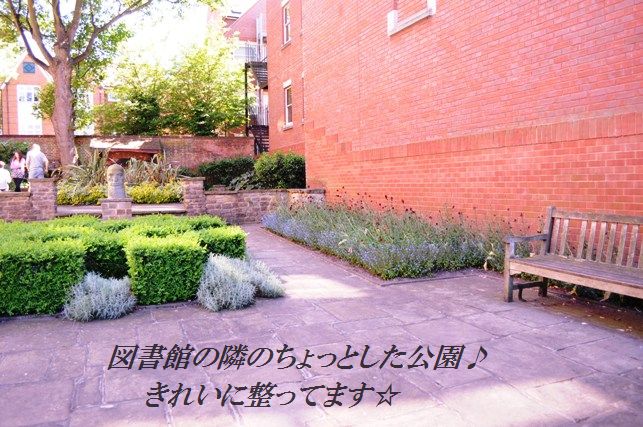 5分おつまみ☆アスパラのガーリックカレー照り焼き_d0104926_595525.jpg