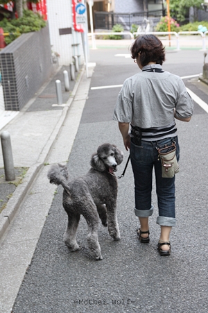 アランくん♪_e0191026_22215227.jpg