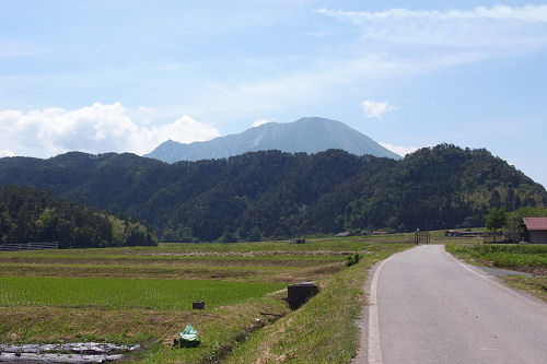 f0007926_16294.jpg