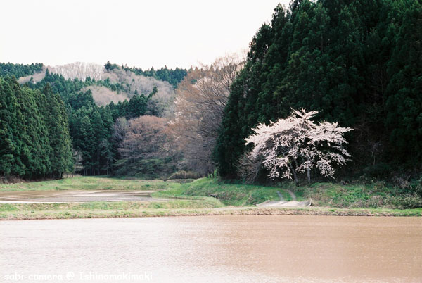 f0164826_2037749.jpg