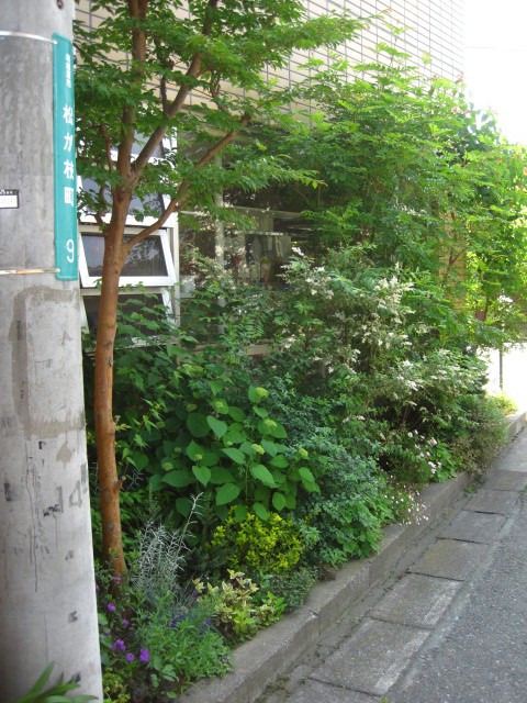 うっとりですよ・・_c0102228_19341839.jpg