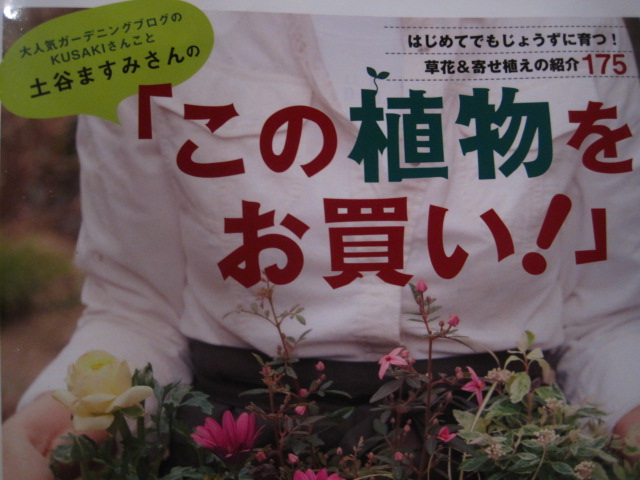 うっとりですよ・・_c0102228_19383764.jpg