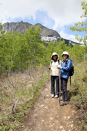 Yamnuska Meadow & Many Springs 6/1_d0112928_3614.jpg