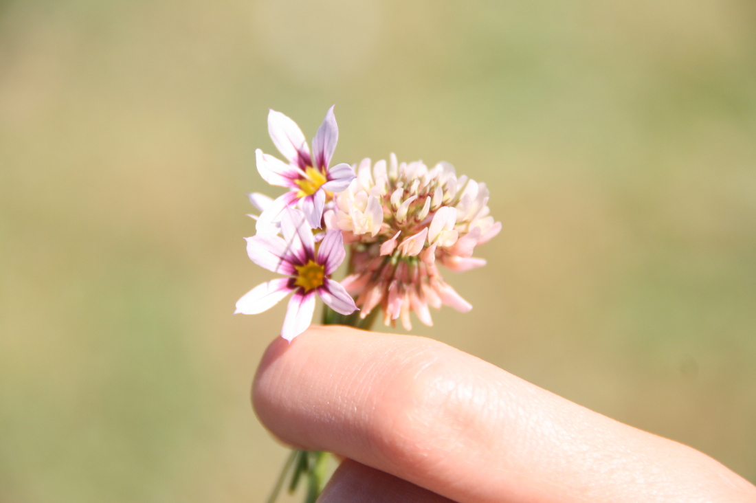 贅沢な１日　（大宮公園）_d0140533_15481894.jpg