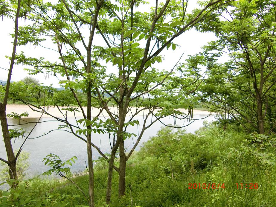 f0020336_19461469.jpg