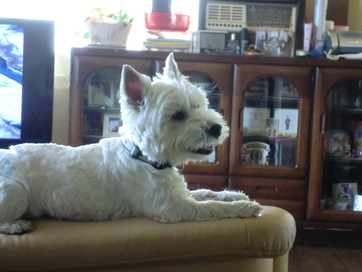 c0212637_0575174.jpg