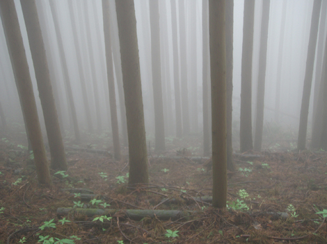 「まだあった、東京の廃村」-1_d0110641_18514551.jpg