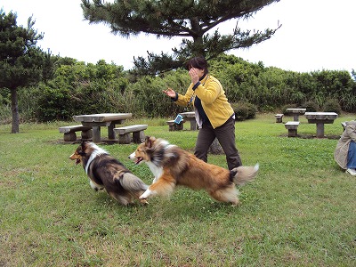 横須賀の近くの公園へ~_e0195743_1572435.jpg