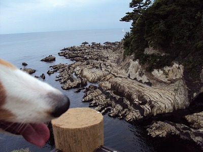 横須賀の近くの公園へ~_e0195743_1583332.jpg