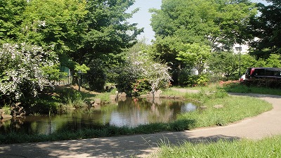 またまたお池の公園_e0195743_20173016.jpg
