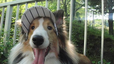 またまたお池の公園_e0195743_20294938.jpg